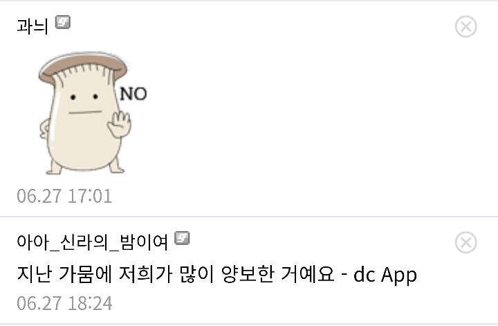 장마철 버섯갤과 식물갤 근황 | 인스티즈