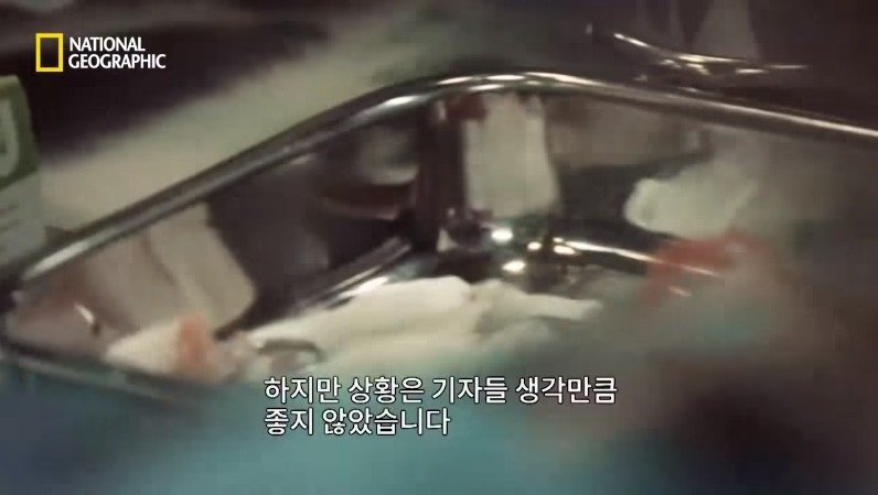로널드 레이건 전 미국 대통령 저격 사건 | 인스티즈