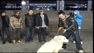 지상렬 상근이 개레전드 | 인스티즈