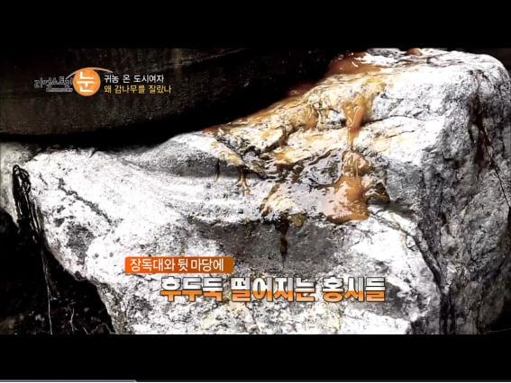 여성귀농인의 현실을 보여준 어제자 리얼스토리.jpg | 인스티즈