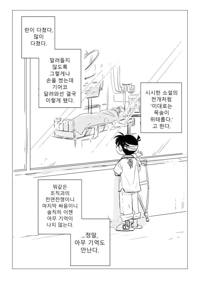 진짜 작가도 이거보단 잘 못만들것같다는 명탐정 코난 팬이 그린 결말 | 인스티즈