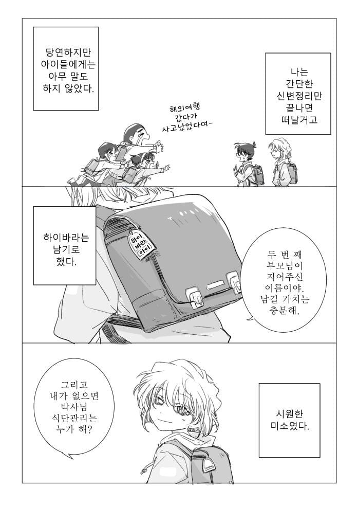 진짜 작가도 이거보단 잘 못만들것같다는 명탐정 코난 팬이 그린 결말 | 인스티즈