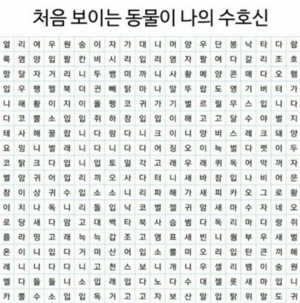처음보이는 동물이 나의 수호신 | 인스티즈