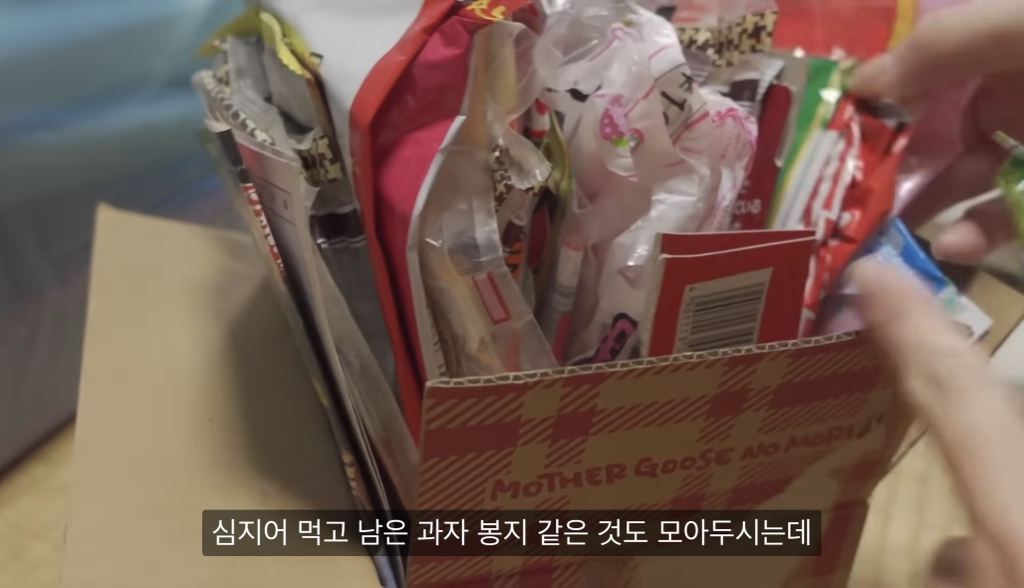 28년 넘게 정리안한 맥시멀리스트 부모님 집 4년에 걸쳐 정리한 딸 | 인스티즈