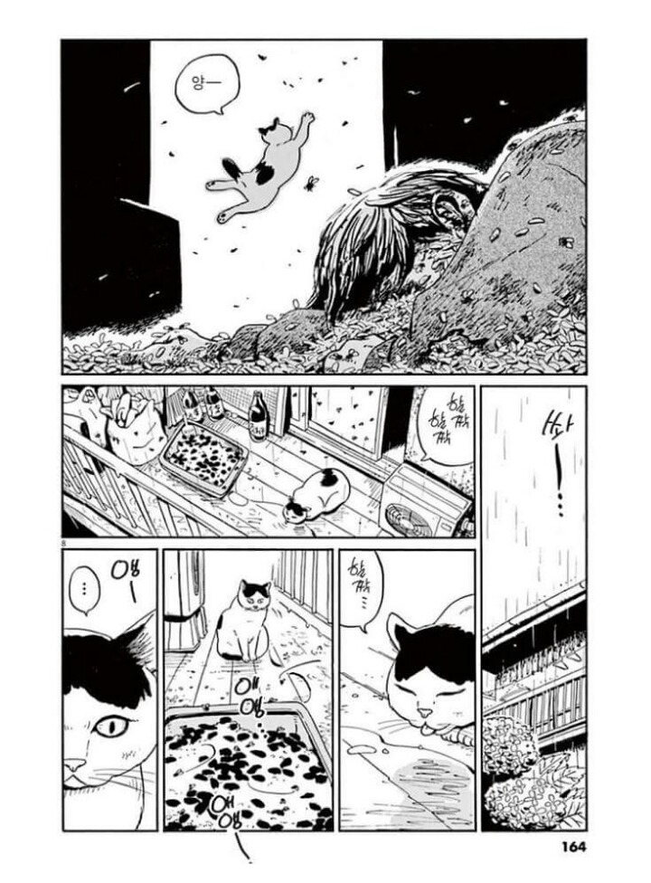 고양이 분짱 | 인스티즈