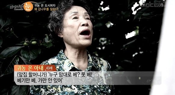 여성귀농인의 현실을 보여준 어제자 리얼스토리.jpg | 인스티즈