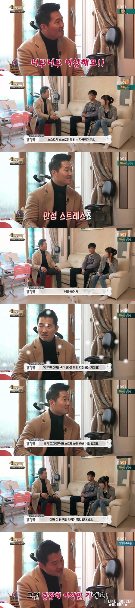 [세나개] 반려견을 업체에서 강제 교배를 하면 안되는 이유.jpgif | 인스티즈