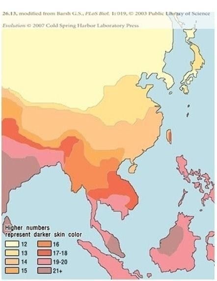 아시아에서 피부가 제일 하얀편이라는 한국인들 | 인스티즈
