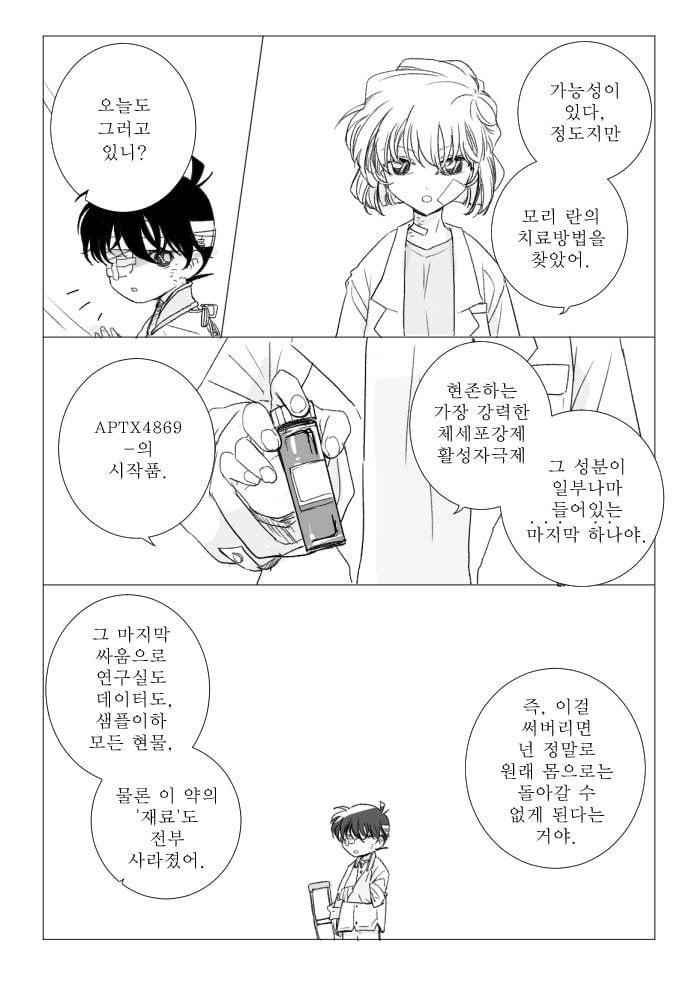진짜 작가도 이거보단 잘 못만들것같다는 명탐정 코난 팬이 그린 결말 | 인스티즈