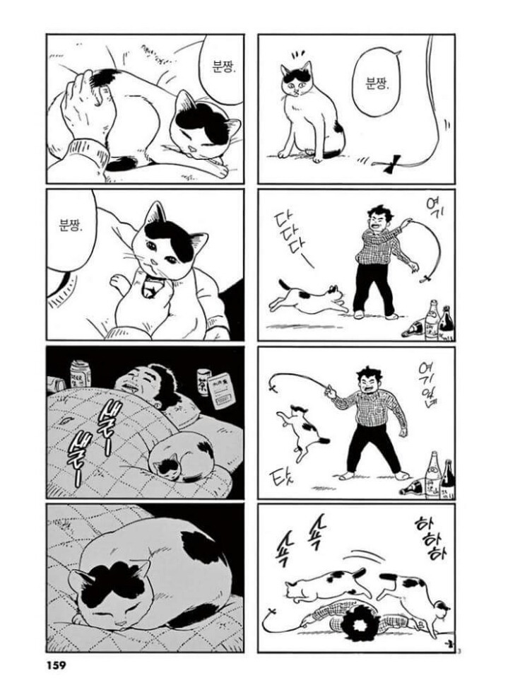 고양이 분짱 | 인스티즈