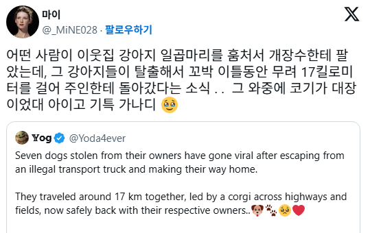 어떤 사람이 이웃집 강아지 일곱마리를 훔처서 개장수한테 팔았는데 | 인스티즈