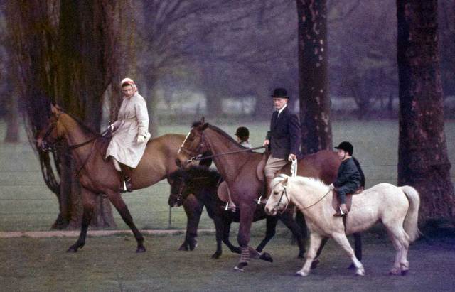 영국의 상류 계급 | 인스티즈