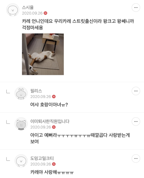 언니.. 나 내일 옆집 카레랑 롯데월드 가기로 했는데 3만원민 주면 안돼..???? | 인스티즈
