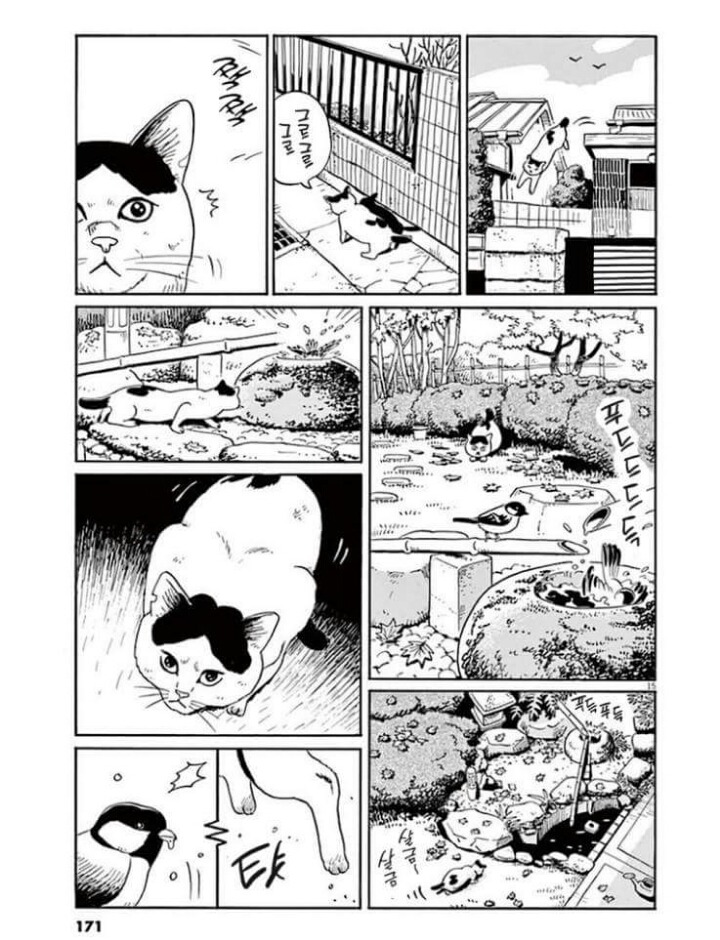 고양이 분짱 | 인스티즈