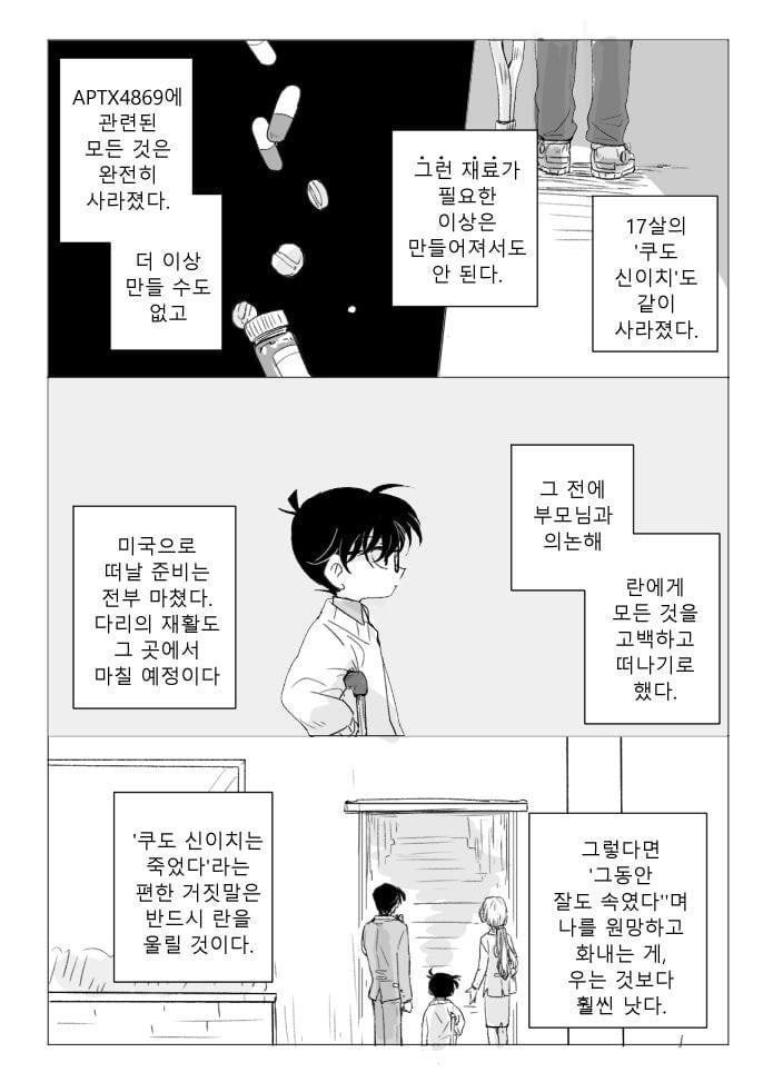 진짜 작가도 이거보단 잘 못만들것같다는 명탐정 코난 팬이 그린 결말 | 인스티즈