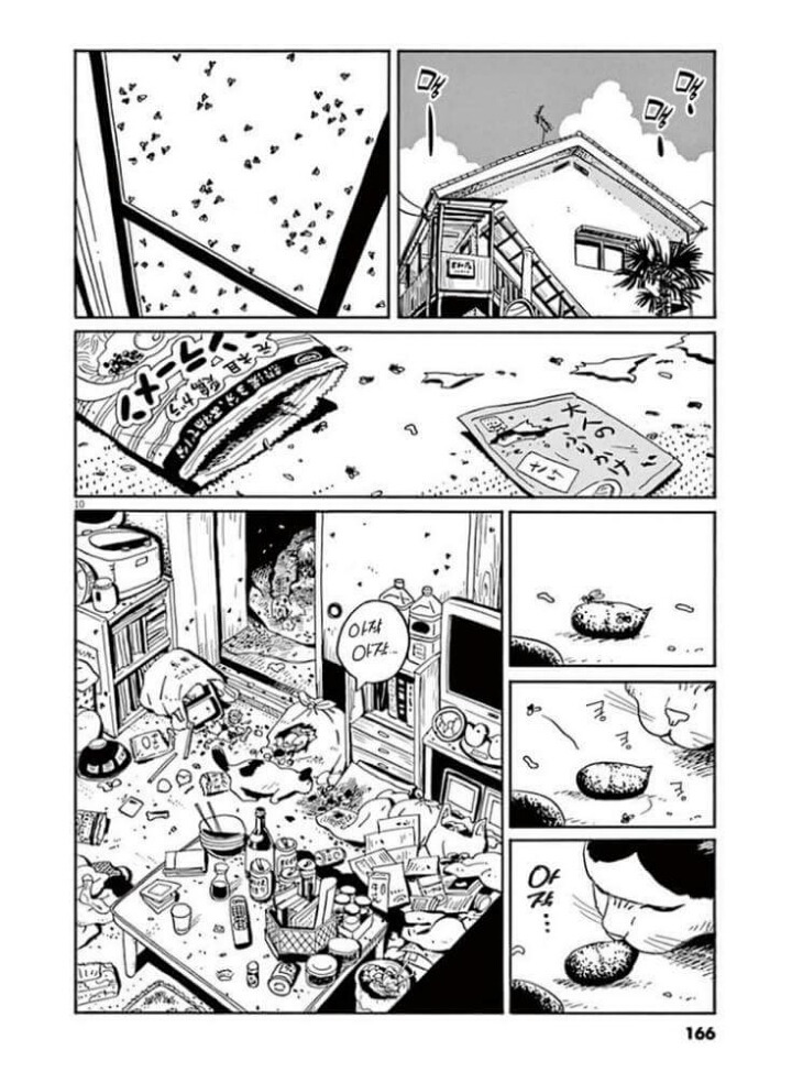 고양이 분짱 | 인스티즈