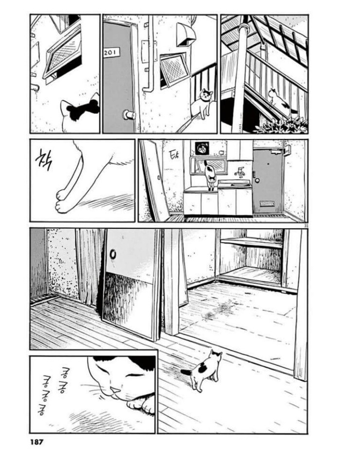 고양이 분짱 | 인스티즈