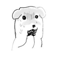 박지훈 볼끼쓰는법 몰라서 팬들이 턱에다 쓰라고 하니까 무너가 이상하다면서 트위터에서 찾아본다는데 그럼 안될텐데... | 인스티즈