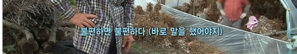 여성귀농인의 현실을 보여준 어제자 리얼스토리.jpg | 인스티즈