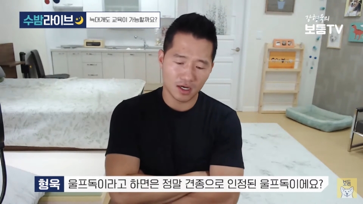 강형욱이 말하는 늑대를 집에서 키울 수 없는 이유 | 인스티즈