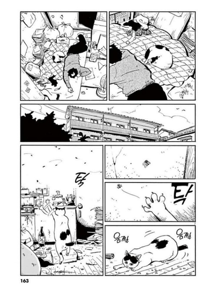 고양이 분짱 | 인스티즈