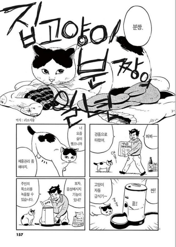 고양이 분짱 | 인스티즈