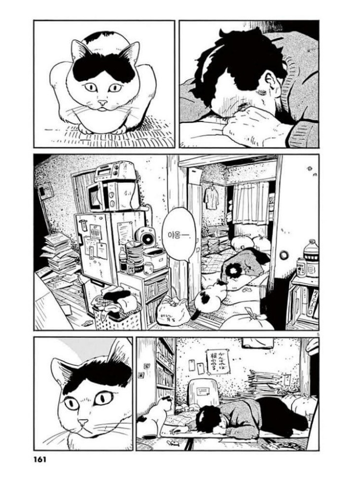 고양이 분짱 | 인스티즈