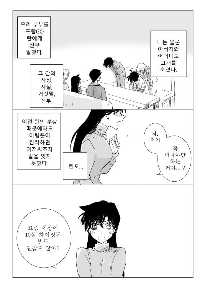 진짜 작가도 이거보단 잘 못만들것같다는 명탐정 코난 팬이 그린 결말 | 인스티즈