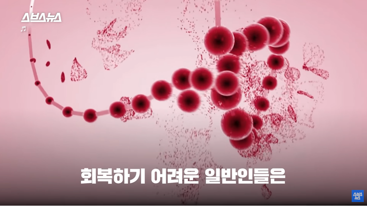강한 여성의 마른 근육과 11자 복근의 필수 요소 낮은 체지방률 | 인스티즈