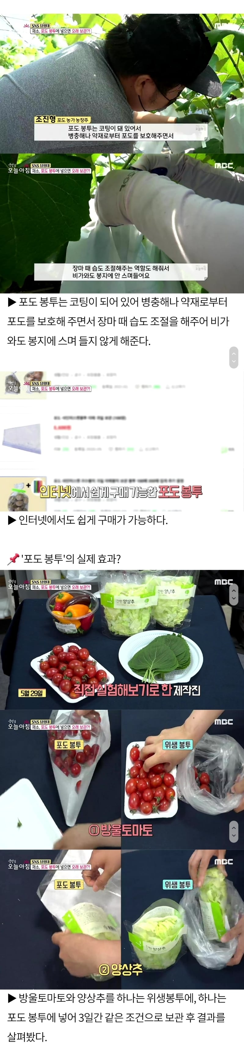 야채, 과일 보관할 때 핫템으로 떠오른 봉투🍇.jpg | 인스티즈