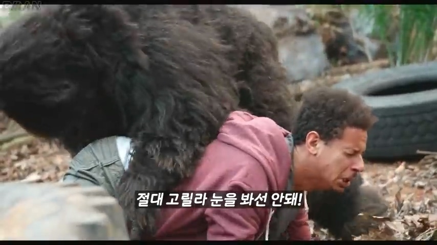 스케일이 남다른 정신나간 넷플릭스 몰래카메라 | 인스티즈