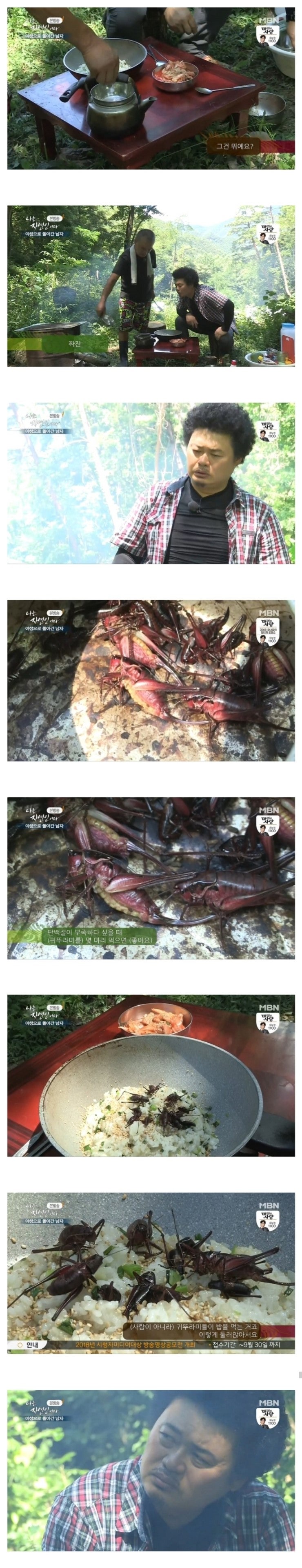 (혐) 귀뚜라미밥.jpg | 인스티즈