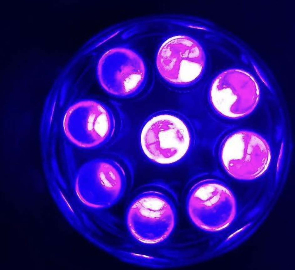 본인에게 알맞는 기초 화장품 루틴 설계하기 | 인스티즈