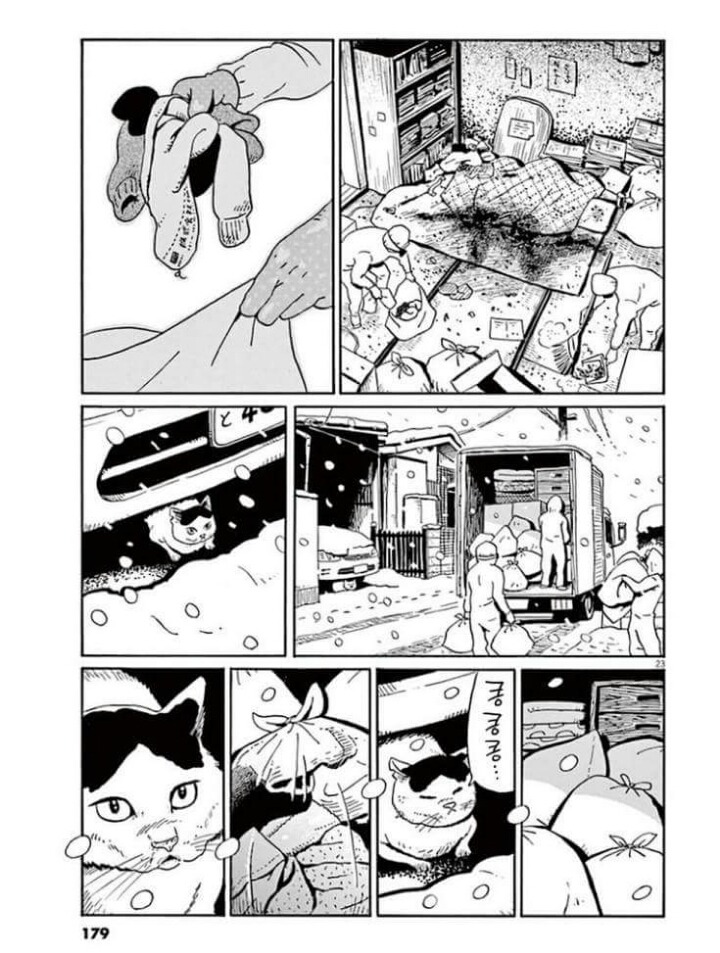 고양이 분짱 | 인스티즈