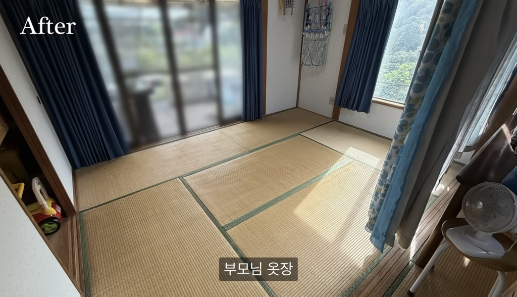 28년 넘게 정리안한 맥시멀리스트 부모님 집 4년에 걸쳐 정리한 딸 | 인스티즈