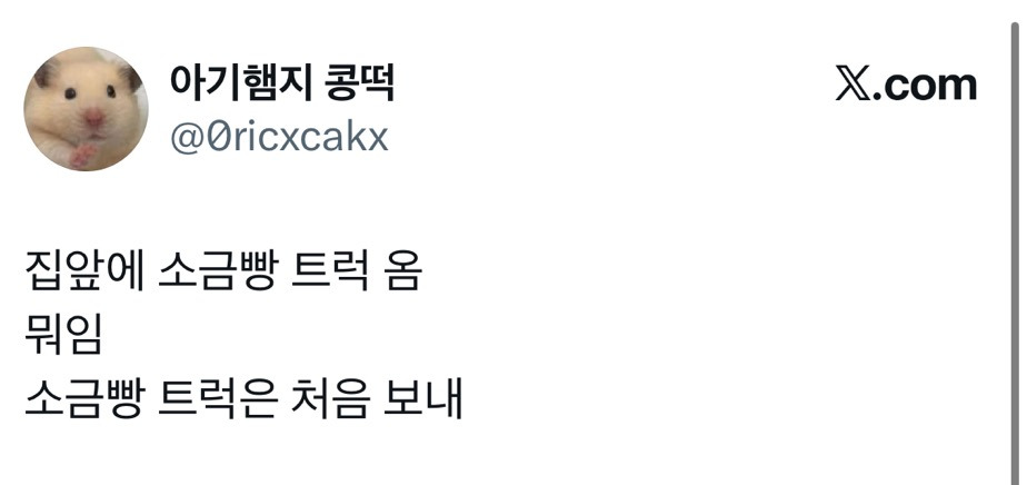 집앞에 소금빵 트럭 옴 | 인스티즈