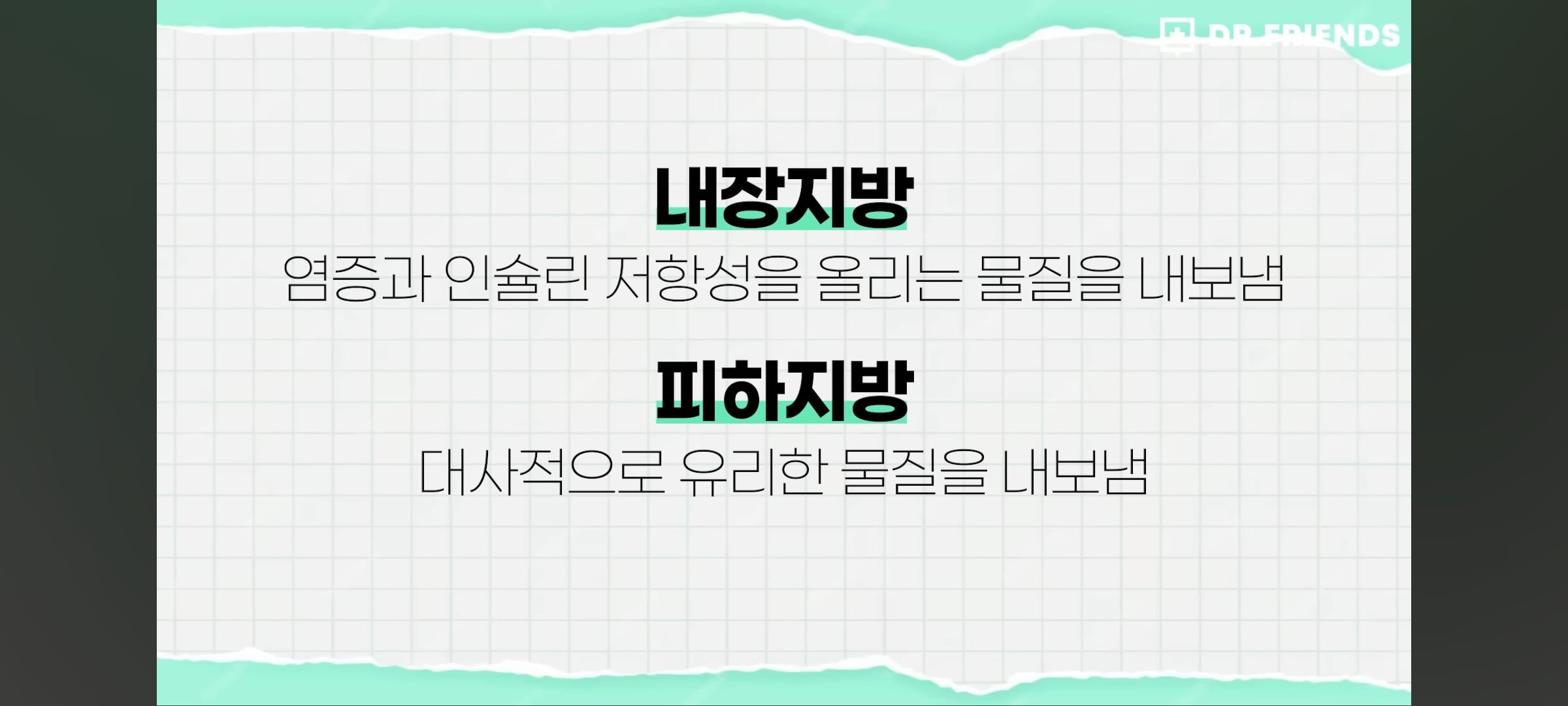 뱃살만 먼저 빠르게 빼는 방법 | 인스티즈