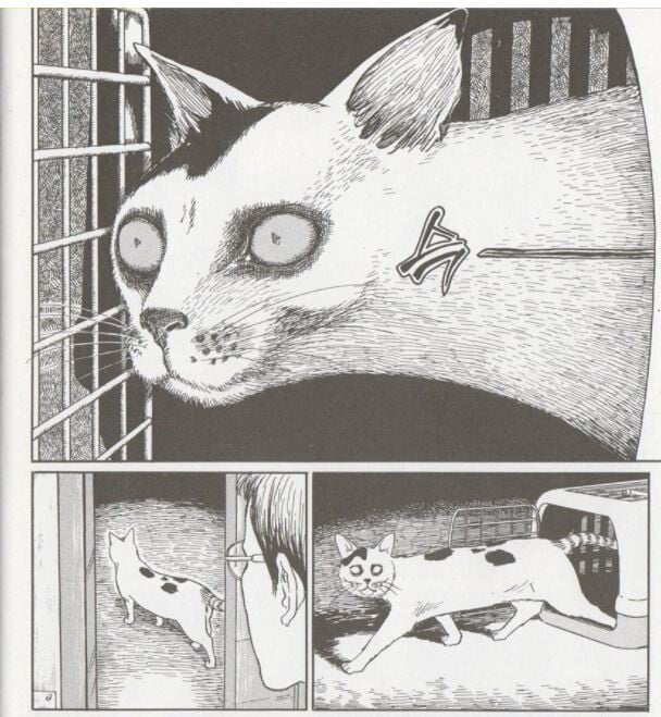 정말게 사실적으로 자비없는 이토준지 고양이 묘사.jpg | 인스티즈