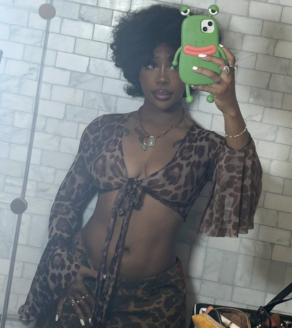 특이한 핸드폰 케이스를 즐겨쓰는듯한 SZA (스자) | 인스티즈