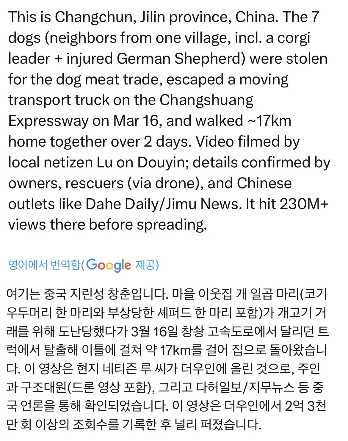 어떤 사람이 이웃집 강아지 일곱마리를 훔처서 개장수한테 팔았는데 | 인스티즈