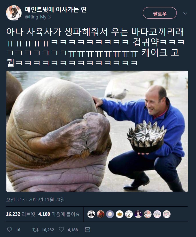 웃긴 트윗 모음.twt | 인스티즈