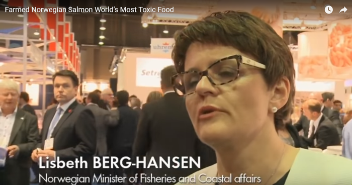 알고는 절대 못 먹는 노르웨이 연어의 무서운 비밀 (바다 이, 생선 우글거리는 사진 주의) | 인스티즈