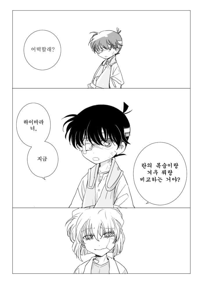진짜 작가도 이거보단 잘 못만들것같다는 명탐정 코난 팬이 그린 결말 | 인스티즈