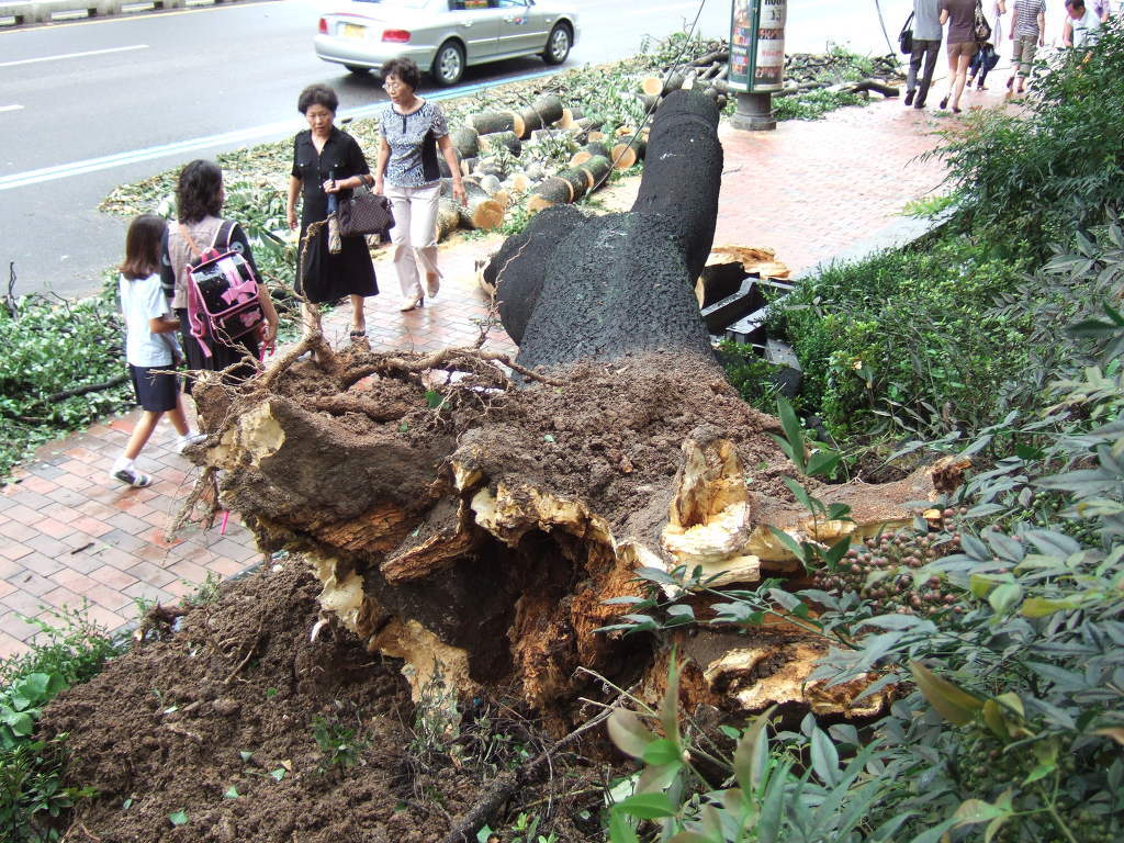 2010년 9월 태풍 곤파스.jpg | 인스티즈