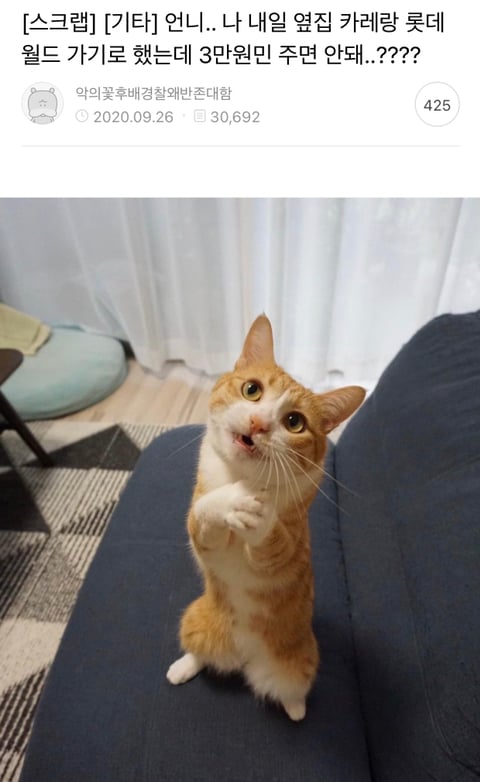 언니.. 나 내일 옆집 카레랑 롯데월드 가기로 했는데 3만원민 주면 안돼..???? | 인스티즈