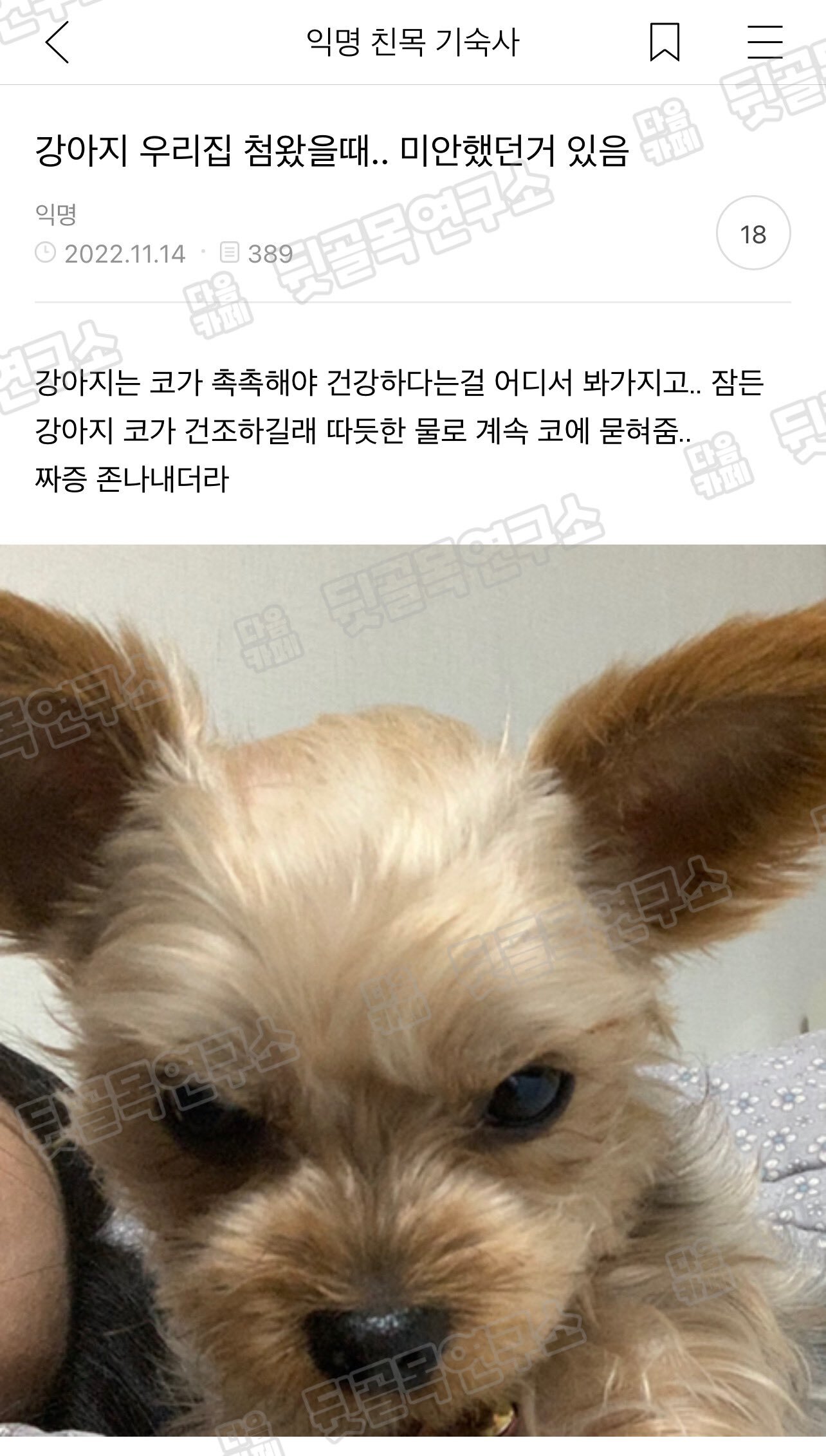 강아지 우리 집 첨 왔을 때 미안했던 거 있음 | 인스티즈