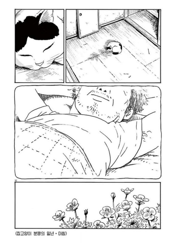 고양이 분짱 | 인스티즈