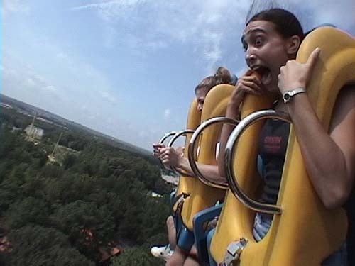 자이로드롭 못타는 사람들이면 공감할법한 자이로드롭 타기가 넘나 조까튼이유ㅠㅠ | 인스티즈