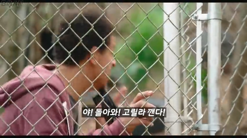 스케일이 남다른 정신나간 넷플릭스 몰래카메라 | 인스티즈