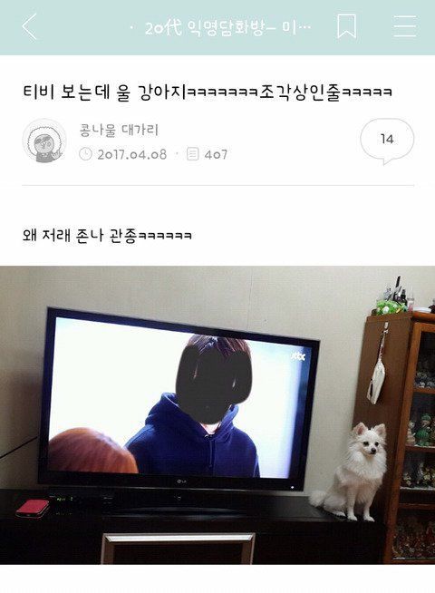 친구가 공무원 시험에 합격해 동사무소에 첫 출근했다 | 인스티즈